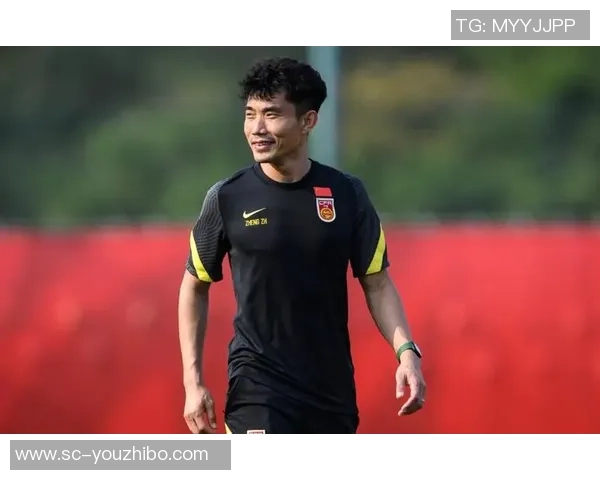 足球明星郑智的职业生涯与成就全解析及个人生活揭秘